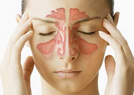 Sinus and Allergie Image